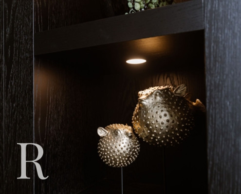 Zwarte cinewall met accessoires