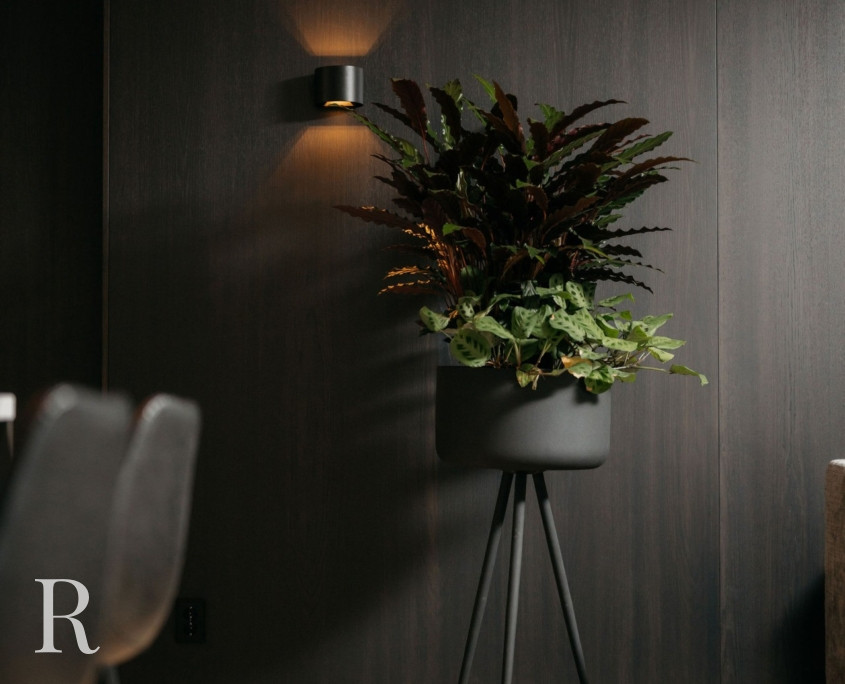 Zwarte cinewall met sfeerhaard