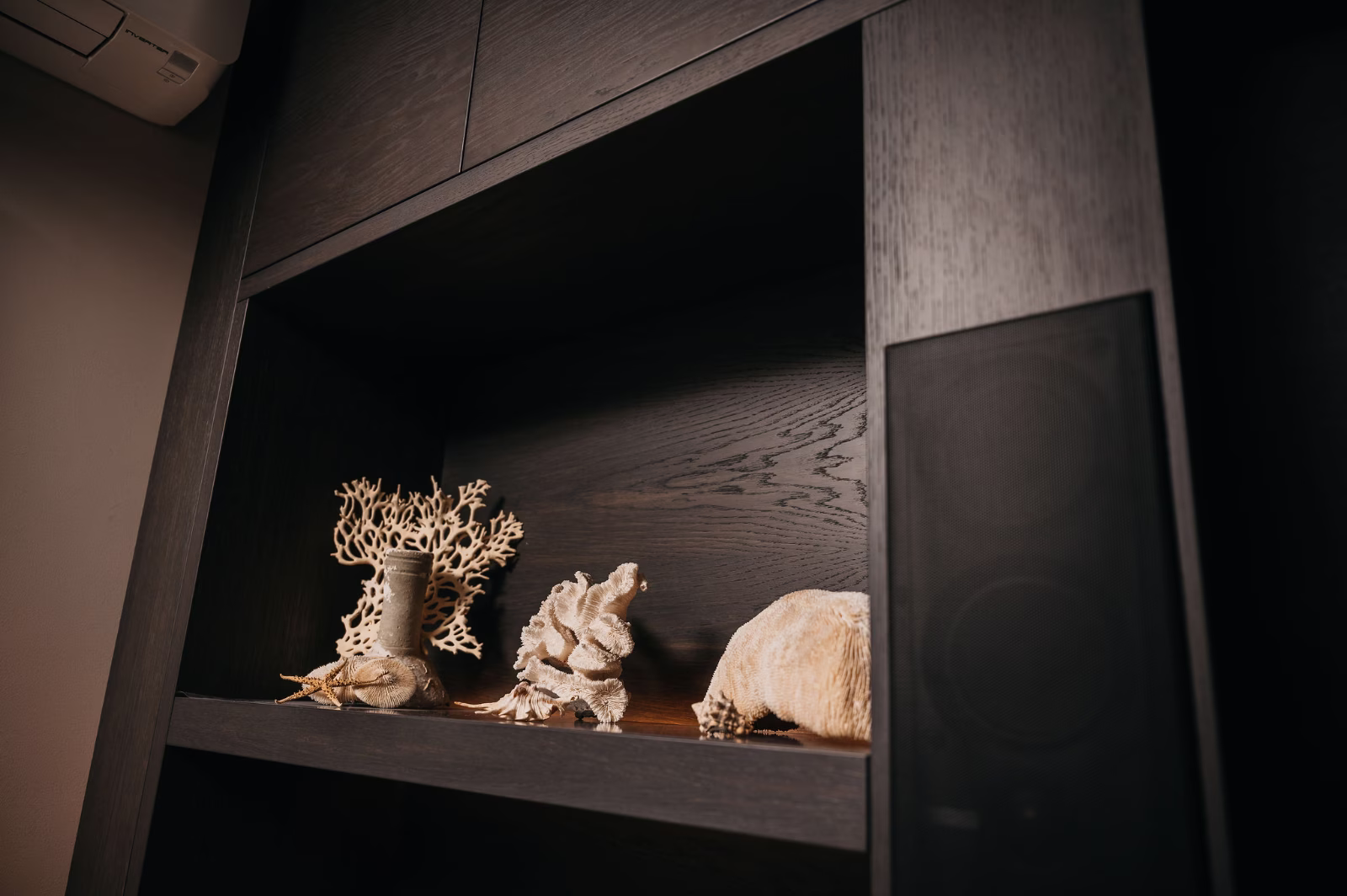 Een donkere houten plank met decoratieve koraalstukken en een grote schelp, met een zwarte luidspreker aan de rechterkant van de plank.