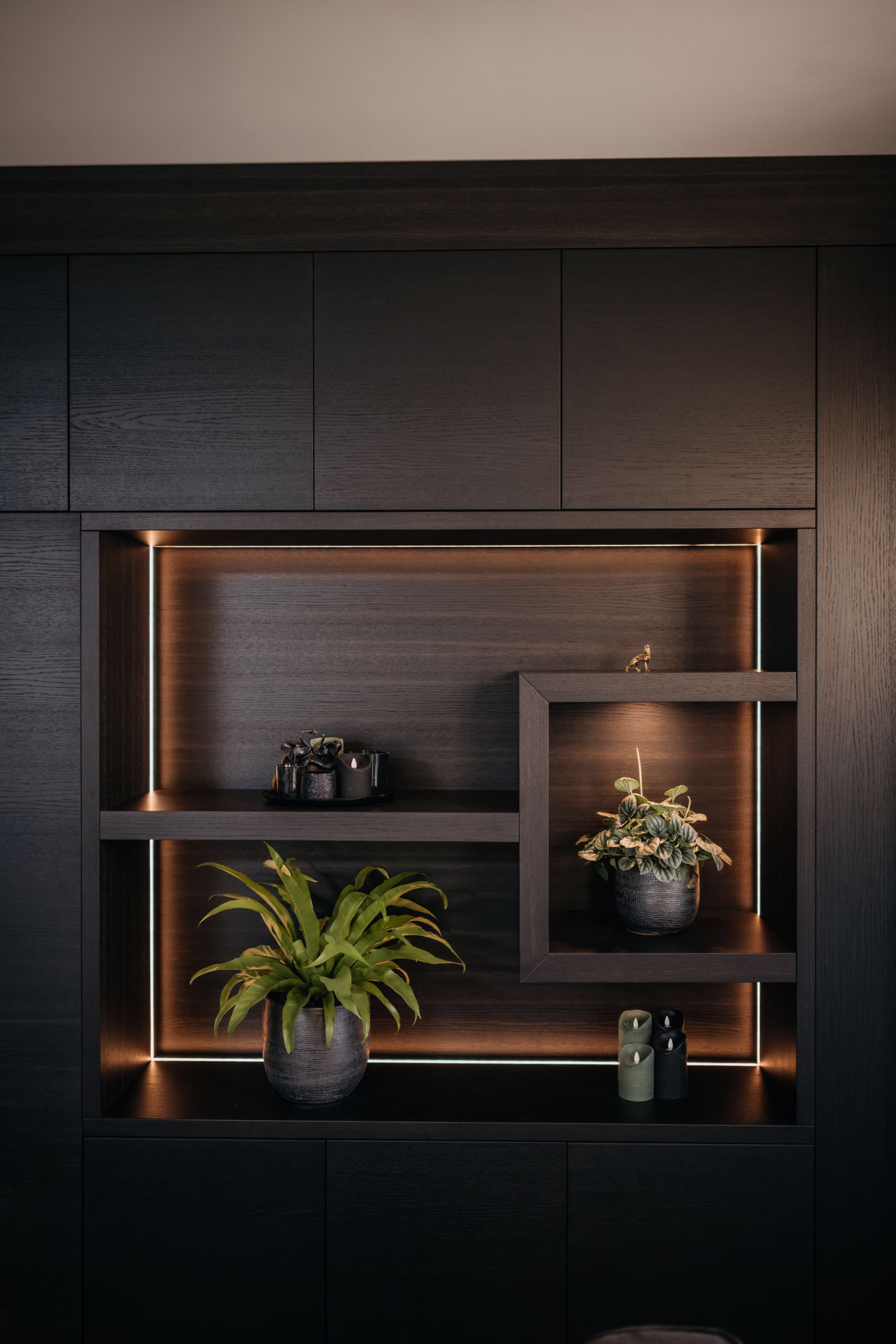 Een moderne donkerhouten plank met ingebouwde warme verlichting toont twee potplanten, een klein beeldje en een groep decoratieve flessen en creëert zo een stijlvolle en gezellige sfeer.