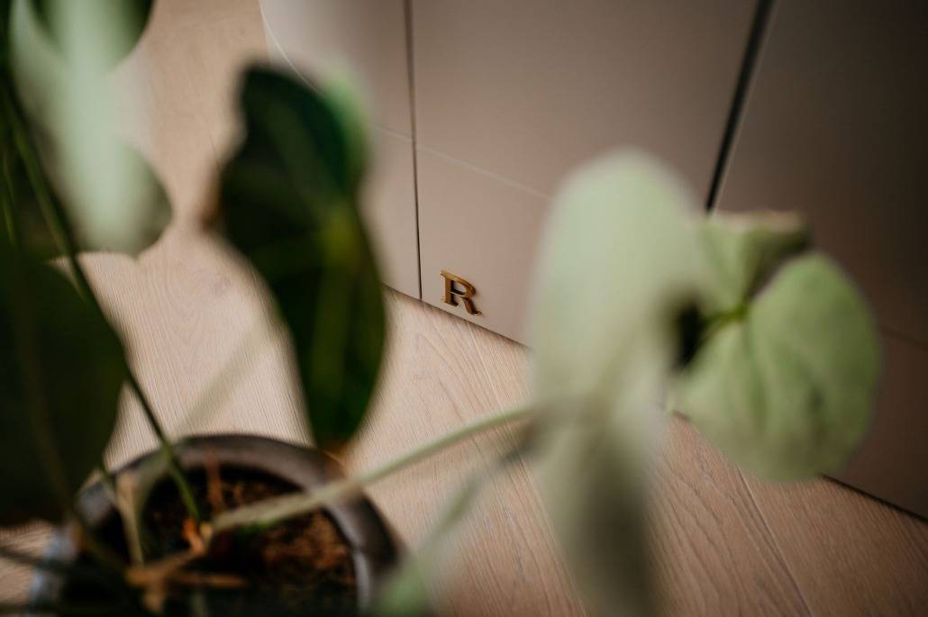 Een close-up van een potplant met grote groene bladeren op de voorgrond, met een onscherpe achtergrond waarop een gouden letter R staat op een wit vlak.